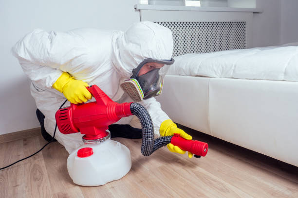 Best Real Estate Pest Inspections  in Ridgecrest, CA